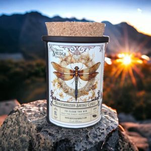 Transformation Dragonfly original smudge candle for space clearing